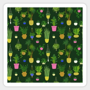 Pattern with potted houseplants Sticker